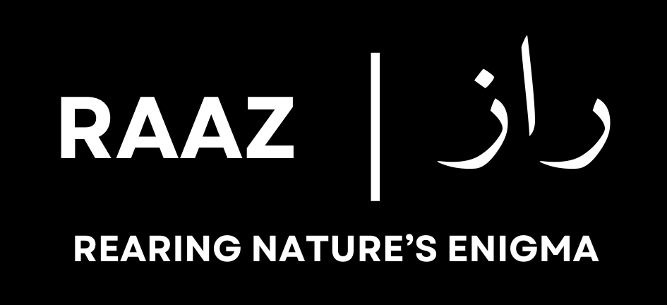 raazperfumes.com